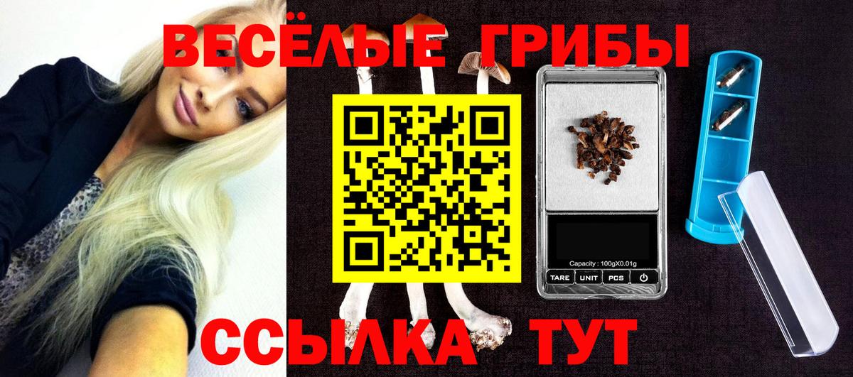 Галлюциногенные грибы Psilocybine cubensis  Псилоцибиновые грибы Magic Shrooms  Анжеро-Судженск  Вход с VPN 