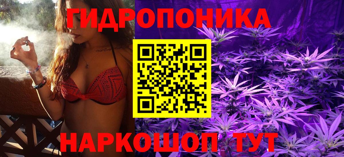 Шишки марихуана сатива  Конопля план  Анжеро-Судженск  Вход с VPN 
